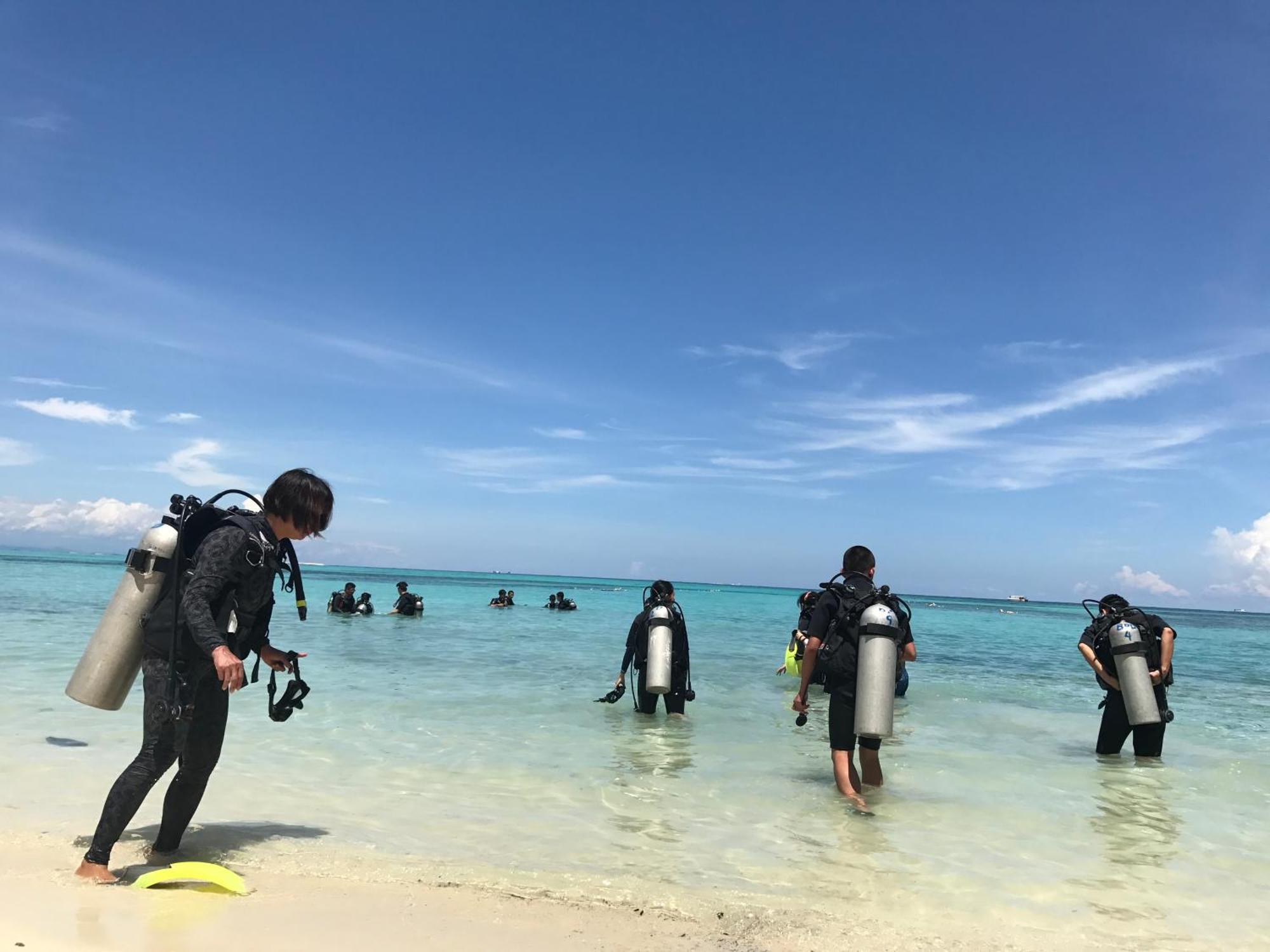 Dolphin Bay Island Resort Kota Belud Eksteriør billede